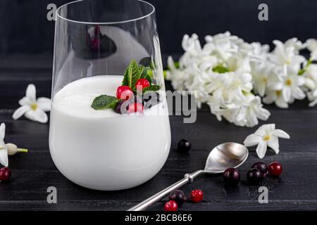 Hausgemachter Joghurt in einem hohen Glas auf dunklem Hintergrund. Garniert mit Minze und Preiselbeeren. Gesunde Ernährung. Vegetarisches Essen. Kopierbereich Stockfoto