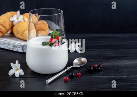 Hausgemachter Joghurt in einem hohen Glas auf dunklem Hintergrund. Garniert mit Minze und Preiselbeeren. Gesunde Ernährung. Vegetarisches Essen. Kopierbereich Stockfoto