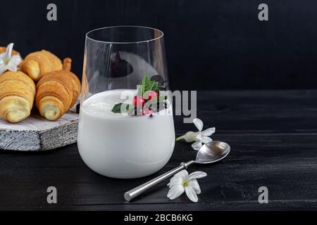 Hausgemachter Joghurt in einem hohen Glas auf dunklem Hintergrund. Garniert mit Minze und Preiselbeeren. Gesunde Ernährung. Vegetarisches Essen. Kopierbereich Stockfoto
