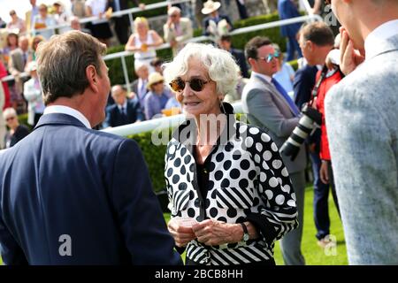 Allgemeine Ansichten der Goodwood Rennbahn in Chichester, West Sussex, Großbritannien. Stockfoto