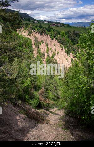 Blick auf die Erdpyramiden, Piramidi di terra in Ritten, Bozner alpen, Longomoso, Südtirol, Italien Stockfoto