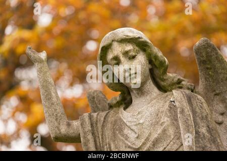 Engelsskulptur auf dem Highgate Cemetery mit Herbstlaub im Hintergrund, London Stockfoto