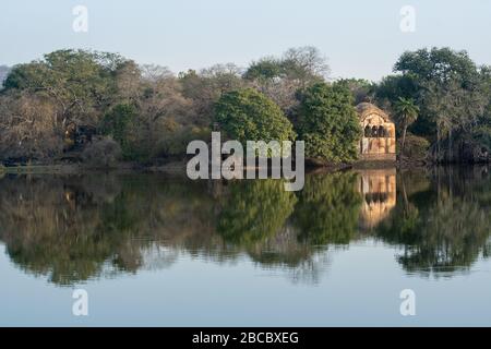 ranthambure-landschaft und Landschaft des Jagdpalasts mit Reflexion im ruhigen Wasser des Rajbagh-Sees im Ranhambore Nationalpark und Tiger-Reserve, indien Stockfoto