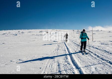 Skilangläufer auf dem Weg, die entlang der Grenze zu Polen, der subalpinen Hochebene, der Hauptkamm im Nationalpark Karkonosze, Niedermösien, Polen, führen Stockfoto