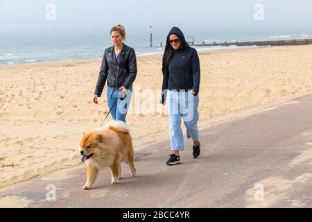 Bournemouth, Dorset UK. April 2020. Die Strände von Bournemouth sind hauptsächlich leer, außer denen, die die Küste besuchen, um ihre erlaubte Bewegung zu Unternehmen, da die Besucher rieten, zu Hause zu bleiben und sich an die Einschränkungen von Coronavirus für soziale Distanzierungen zu halten, wobei Parkplätze geschlossen sind, um Besucher aus der Ferne zu schrecken. Frauen gehen Hund entlang der Promenade. Credit: Carolyn Jenkins/Alamy Live News Stockfoto