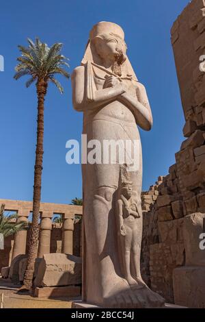 Die Kolossalstatue von Ramesses II steht isoliert im Karnak-Tempelkomplex Stockfoto
