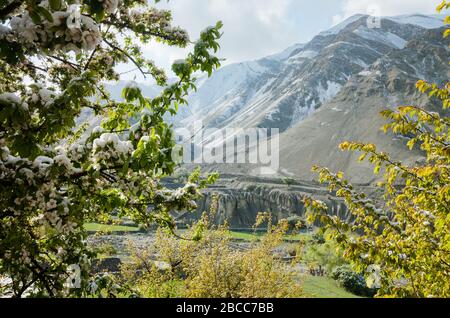 Schneebedeckte Bäume und traditionelle Häuser im Shan Valley, in der trockenen Bergkette des Leh Ladakh, Indien Stockfoto