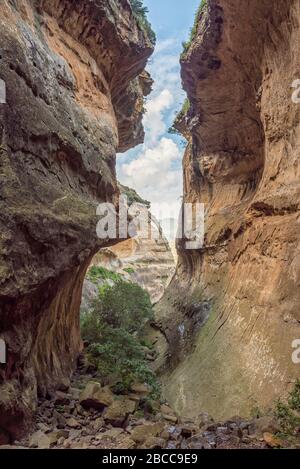 Blick auf Echo Ravine, eine Schlucht aus Sandstein am Golden Gate in der Provinz Free State Stockfoto