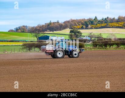 Bauernschlepper, der an einem sonnigen Frühlingstag, East Lothian, Schottland, Großbritannien, Dünger auf einer gesäten Feldfrucht verbreitet Stockfoto