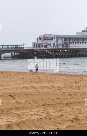 Bournemouth, Dorset UK. April 2020. Die Strände von Bournemouth sind hauptsächlich leer, außer denen, die die Küste besuchen, um ihre erlaubte Bewegung zu Unternehmen, da die Besucher rieten, zu Hause zu bleiben und sich an die Einschränkungen von Coronavirus für soziale Distanzierungen zu halten, wobei Parkplätze geschlossen sind, um Besucher aus der Ferne zu schrecken. Frau, die Hund an der Küste entlang spazieren geht. Credit: Carolyn Jenkins/Alamy Live News Stockfoto