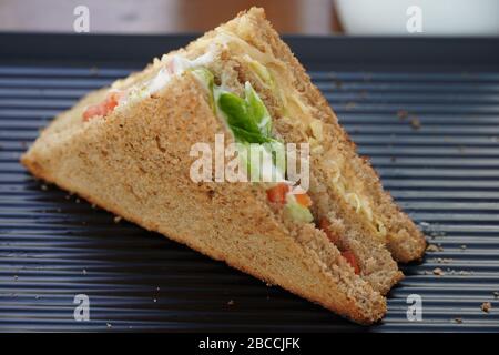 Ein einzelnes Thun-Sandwich auf schwarzem Servierblech. Ein Club Sandwich mit Huhn, Schinken, Käse, Tomaten, Gurke, Speck, Salat, Kräutern und geröstetem Brea Stockfoto