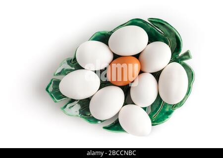 Mehrere Hühnereier liegen auf Keramikplatte in Form von tropischen Blättern auf weißem Hintergrund, ein Ei hat eine andere Farbe Stockfoto