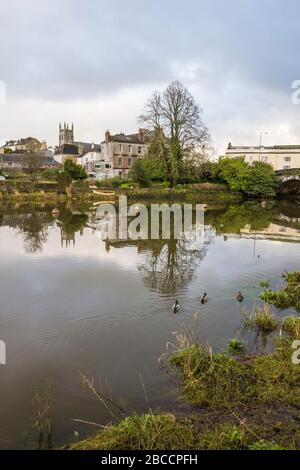 Blick auf den Vorort Totnes von Bridgetown, der über den Fluss Dart von Vire Island, Totnes, Devon, Großbritannien, gesehen wird. Stockfoto