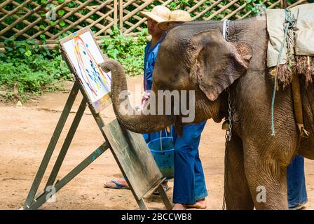 Das 1969 gegründete Elephant Training Center Chiang Dao. Das Zentrum hat eine der schönsten Naturlandungen in Chiang Mai, Thailand Stockfoto