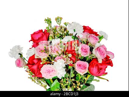 Blumenstrauß mit sanften rosa und roten Rosen und weißen Kornationsblüten isoliert auf weißem Hintergrund. Blumendesign für jeden Urlaub oder jede Lebensereignis, Festiv Stockfoto