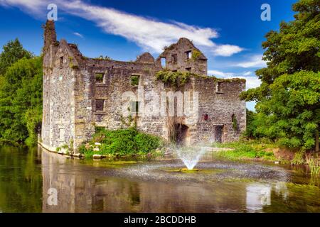 Malerische Überreste von Rudkin Mill in Bagenalstown, County Carlow, Irland. Stockfoto