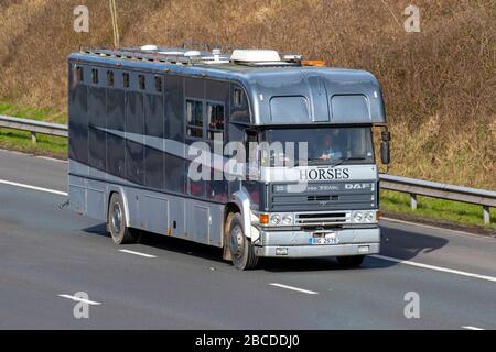 1989 80er Jahre DAF Oakey Supreme Pferdewagen; Pferde auf dem Transit; Tiertransport auf der Autobahn M6, Lancashire, Großbritannien Stockfoto