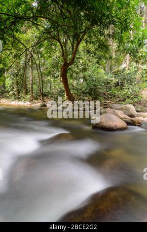 Zeitlupe Wasserfluss im Sungai Sedim Regenwald. Stockfoto