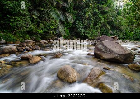 Zeitlupenwasser fließt im Fluss bei Sungai Sedim, Kedah. Stockfoto