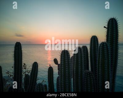 Sonnenuntergang auf curacao mit Kakteen im Vordergrund Stockfoto