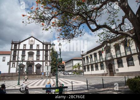 Die Parca da Municipio im Stadtzentrum von Funchal auf der Insel Madeira in Portugal. Portugal, Madeira, April 2018 Stockfoto