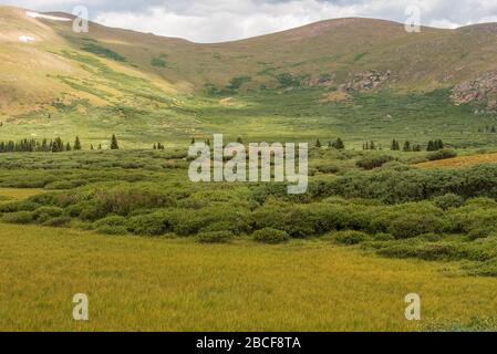 Landschaft mit grünen Wiesen, Bäumen und Hügeln am Guanella Pass in Colorado Stockfoto