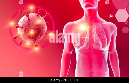 Röntgenansicht der Lunge und Luftröhre, Coronavirus, vom menschlichen Körper. Virus, das die Atmungsorgane angreift. Covid-19. 3D-Rendering. Virusinfektionsausbreitung. Stockfoto