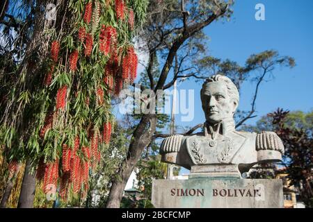 Die Statue von Simon Bolivar im Stadtflughafen Jardim an der avenida Arriaga im Stadtzentrum von Funchal auf der Insel Madeira in Portugal. Portugal Stockfoto