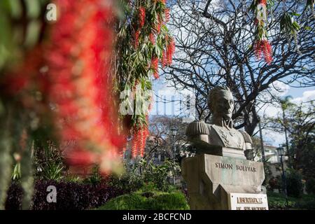 Die Statue von Simon Bolivar im Stadtflughafen Jardim an der avenida Arriaga im Stadtzentrum von Funchal auf der Insel Madeira in Portugal. Portugal Stockfoto
