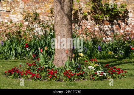 Der Frühling erwacht im historischen ummauerten Garten der Eastcote House Gardens im Borough of Hillingdon, London, Großbritannien. Stockfoto