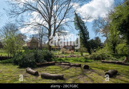 Eastcote House Gardens neben dem River Pinn auf dem Celadine Way im Borough of Hillingdon, London, Großbritannien. Im Frühling fotografiert. Stockfoto