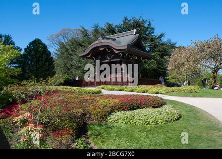 Japanischer Garten Royal Botanic Gardens Kew Gardens, Richmond, London, TW9 3AE Stockfoto