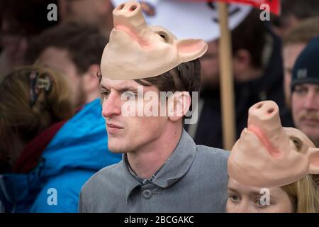 Junger Mann mit einer Schweinemaske bei einer Anti-Austerity-Demonstration in London Stockfoto