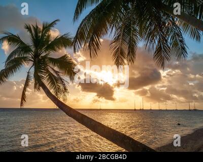 Anchoring Yachten bei Sonnenuntergang in der Lagune von Suwarrow Atoll, Cookinseln, Polynesien Stockfoto