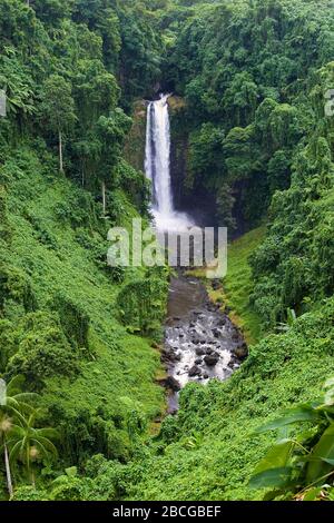 Pjula Wasserfall im Regenwald der Republik Samoa, Polynesien Stockfoto