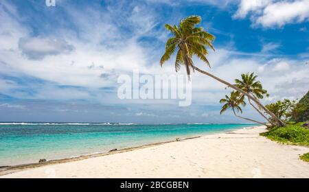 Tropischer Strand mit Palmen in der Republik Samoa, Polynesien Stockfoto