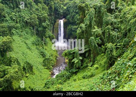 Pjula Wasserfall im Regenwald der Republik Samoa, Polynesien Stockfoto