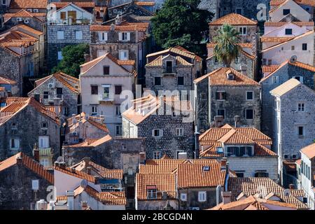 Blick über die Altstadt von Dubrovnik. Es zeigt die dicht gedrängten Häuser und Gebäude und ihre markanten roten Ziegeldächer Stockfoto