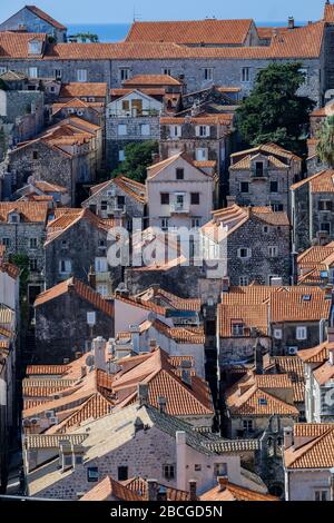 Blick über die Altstadt von Dubrovnik. Es zeigt die dicht gedrängten Häuser und Gebäude und ihre markanten roten Ziegeldächer Stockfoto