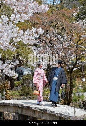 Kyoto, Japan. April 2020. Am Samstag, 4. April 2020, besuchen Touristen Kirschblüten im Maruyama-Park in Kyoto, Japan. Sie sehen so aus, als ob ihnen das Gefühl einer Krise fehlt als der Ballungsraum. Foto von Keizo Mori/UPI Credit: UPI/Alamy Live News Stockfoto