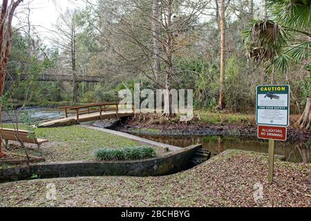 Brücken und Gehwege über die Schlucht im Ravine Gardens State Park in Palatka, Florida, USA Stockfoto