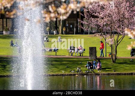 Stadtgarten in Essen-Innenstadt, Stadtpark, Samstag, 04.04.20, Menschen respektieren das Kontaktverbot, halten Abstand, nicht viele Besucher trotz su Stockfoto