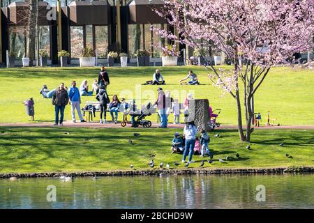 Stadtgarten in Essen-Innenstadt, Stadtpark, Samstag, 04.04.20, Menschen respektieren das Kontaktverbot, halten Abstand, nicht viele Besucher trotz su Stockfoto