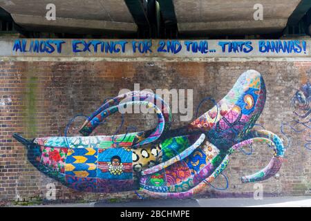 Street Art an der Wand eines Gebäudes in den Seitenstraßen von Penge, South London, UK. Bananen, 'zum zweiten Mal fast ausgestorben...'. Stockfoto