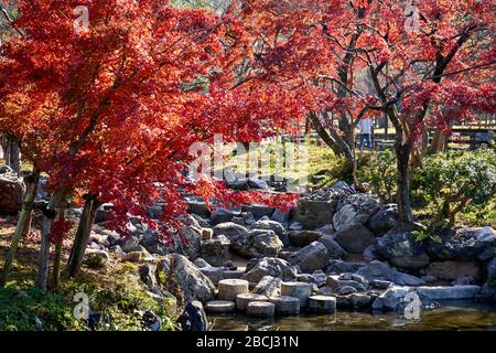 Herbst im Park mit leerem Bach Stockfoto