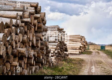 Reihen von Holzstapeln, die in einer örtlichen Holzklumpenmühle verarbeitet werden, werden zum Bauholz gemacht. Stockfoto