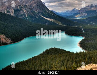 Vogelperspektive auf den atemberaubenden Peyto Lake im Icefield Parkway Banff National Park Stockfoto