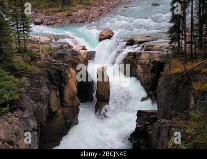 Blick Auf Die Sunwapta Falls Im Icefield Parkway Jasper National Park Stockfoto