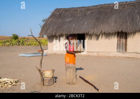 Afrika, Madagaskar, Ranohira (Isalo), Ihorombe Region. Dorf des Bara Stammes. Frau stampfend Getreide und Weinbau Reis. Stockfoto