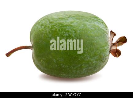 Feijoa-Pfad isoliert auf weiß Stockfoto